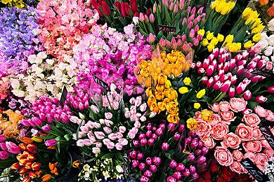 《碧蓝幻想：Relink》承诺大量印记转化功能和更多按键绑定选项